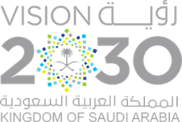 Saudi Vision